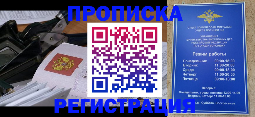прописка законно в Заринске